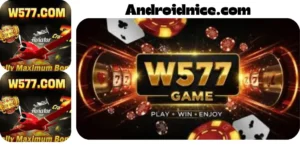 W577 Game About