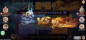 What is Dragon Vs Tiger